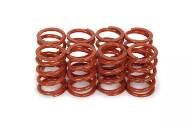 1.095 Valve Spring Set Outer (8pk)