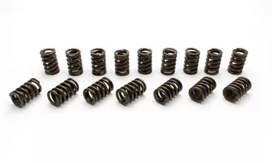 1.250 Street Master Single Valve Springs