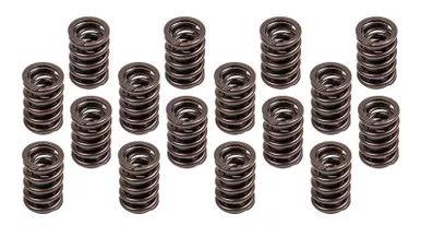 1.460 Valve Spring Set 16