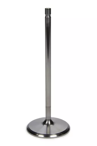 2.450 Titanium Intake Valve 6.650 OAL 0.3415