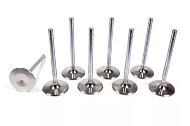 BBC H/P 2.250 Intake Valves