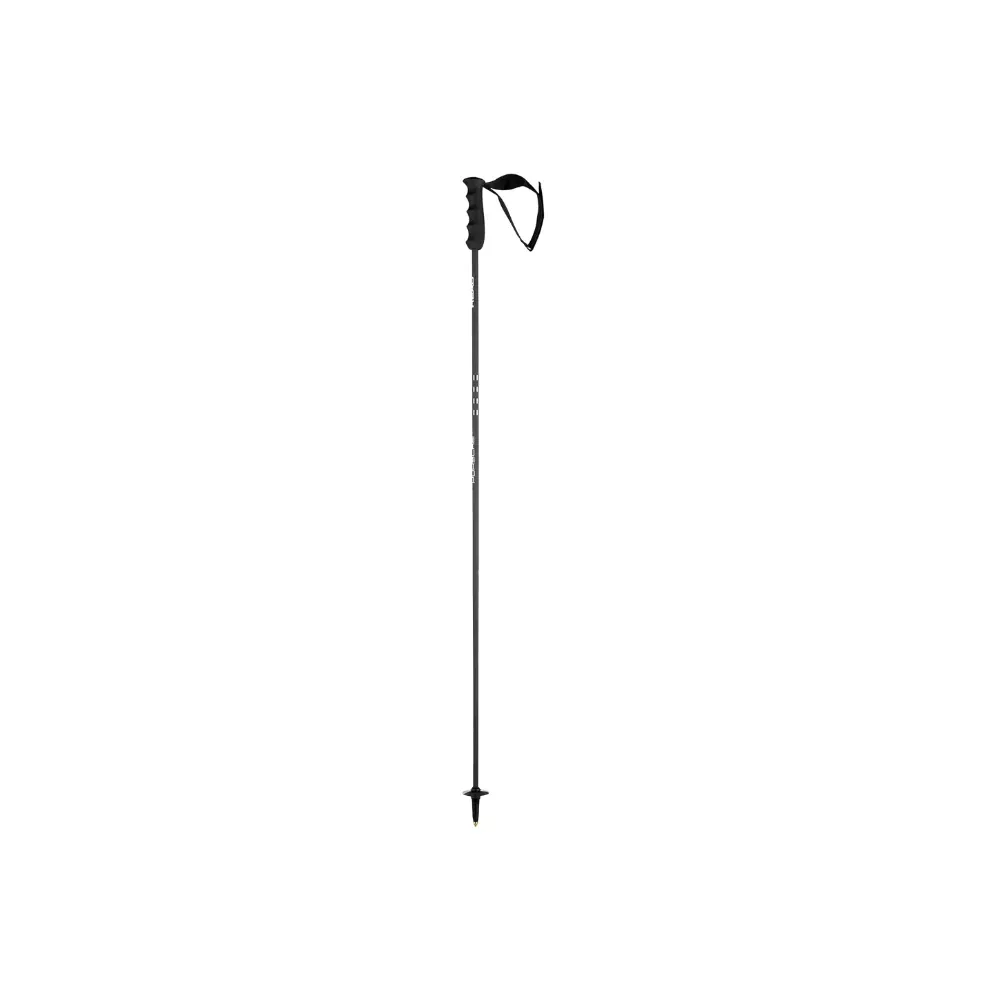 Porsche Genuine Porsche 105mm Head Carbon Poles – WAP062HCP0P105WAP062HCP0P105