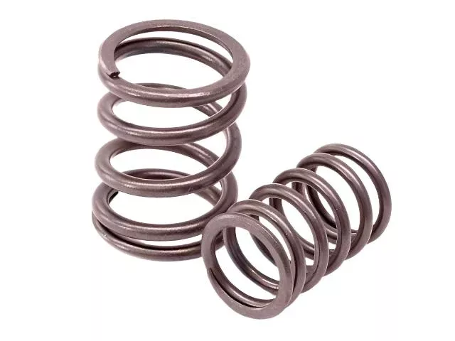 Porsche Valve Spring Set 65-94901-105-901-50