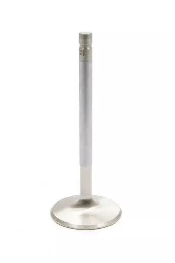 SBC R/F 1.600in Exhaust Valve